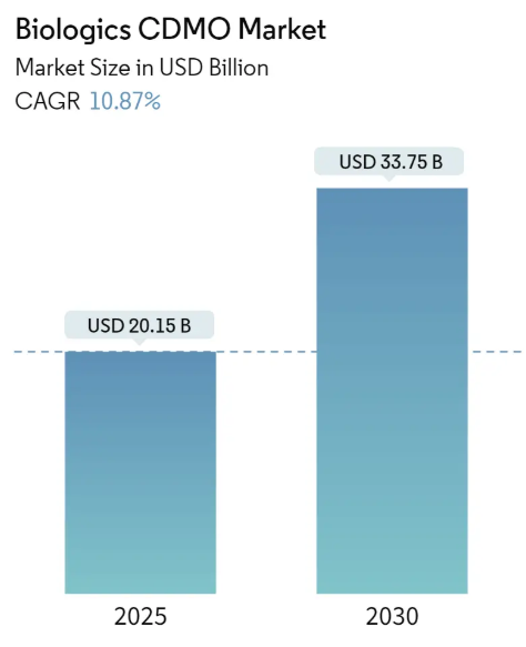 Biologics CDMO Market Size Biologics CDMO Market Summary